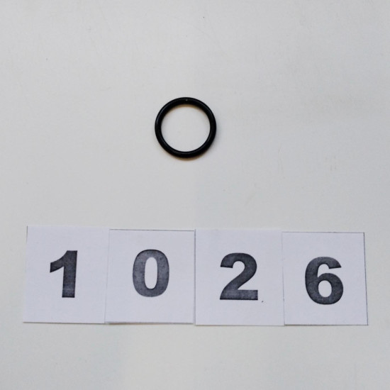Кільце штока поршня Ø20×2,65мм Well Kraft CT-LS-2600153